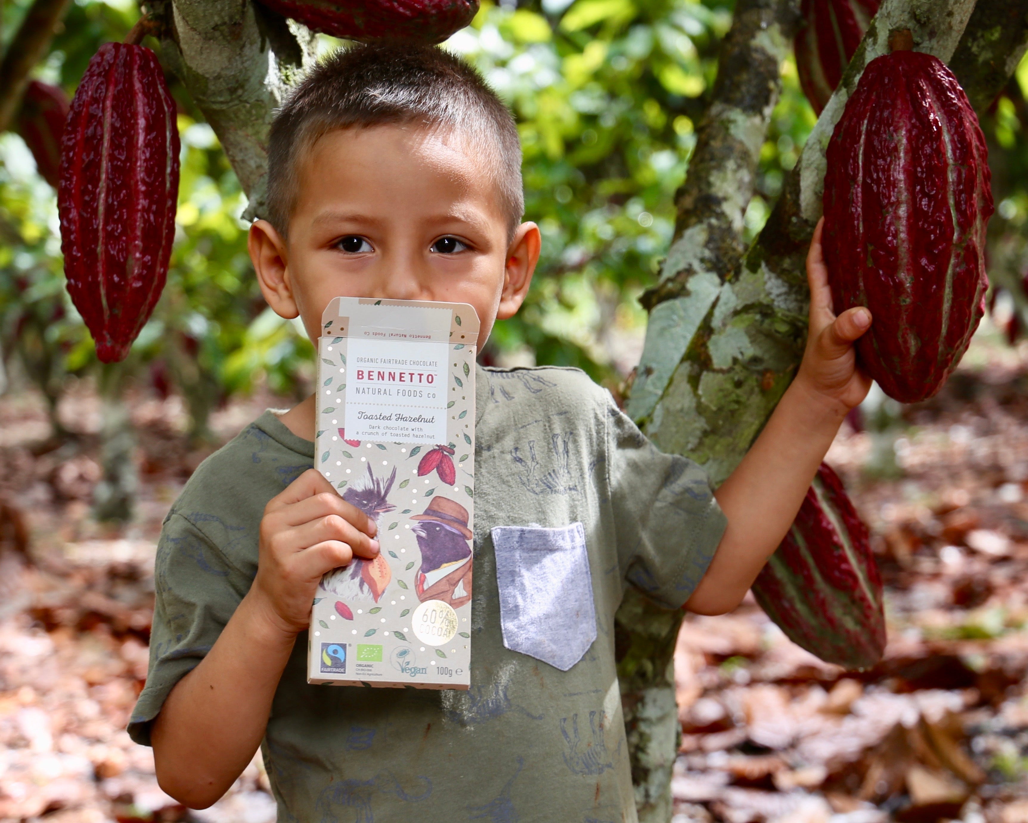 Child holding a chocolate bar in front of a cocoa bean tree with ripe pods.